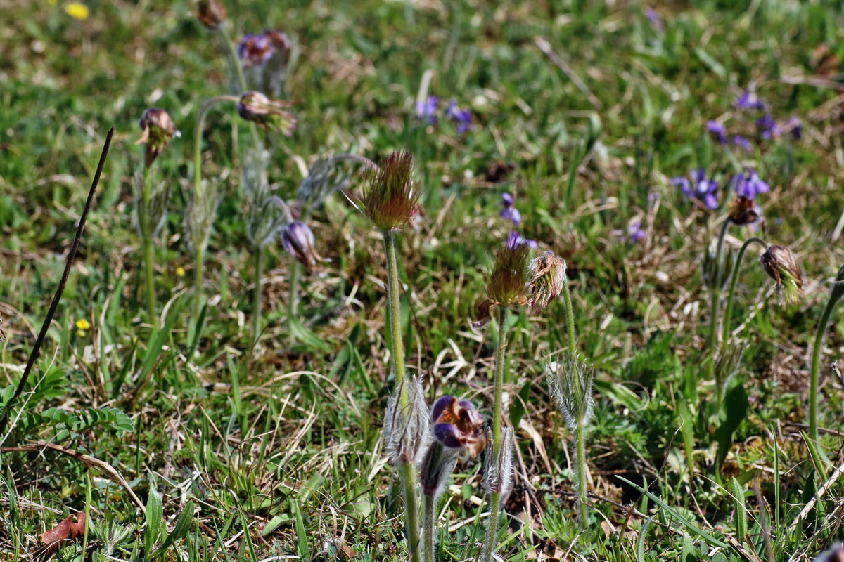 IMG-2016-04-17-00012167p_Bildgr��e �ndern