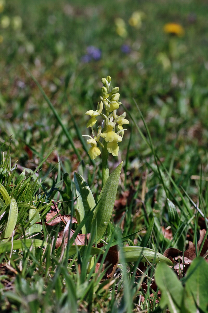 IMG-2016-04-17-00012170p_Bildgr��e �ndern