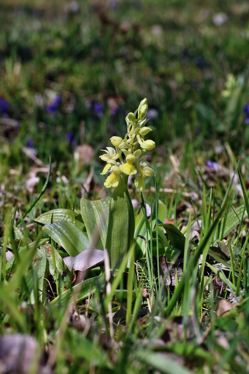 IMG-2016-04-17-00012172p_Bildgr��e �ndern