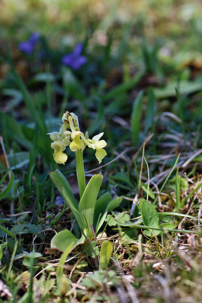 IMG-2016-04-17-00012176p_Bildgr��e �ndern