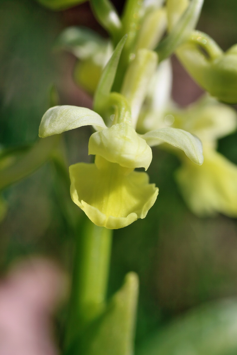 IMG-2016-04-17-00012185p_Bildgr��e �ndern