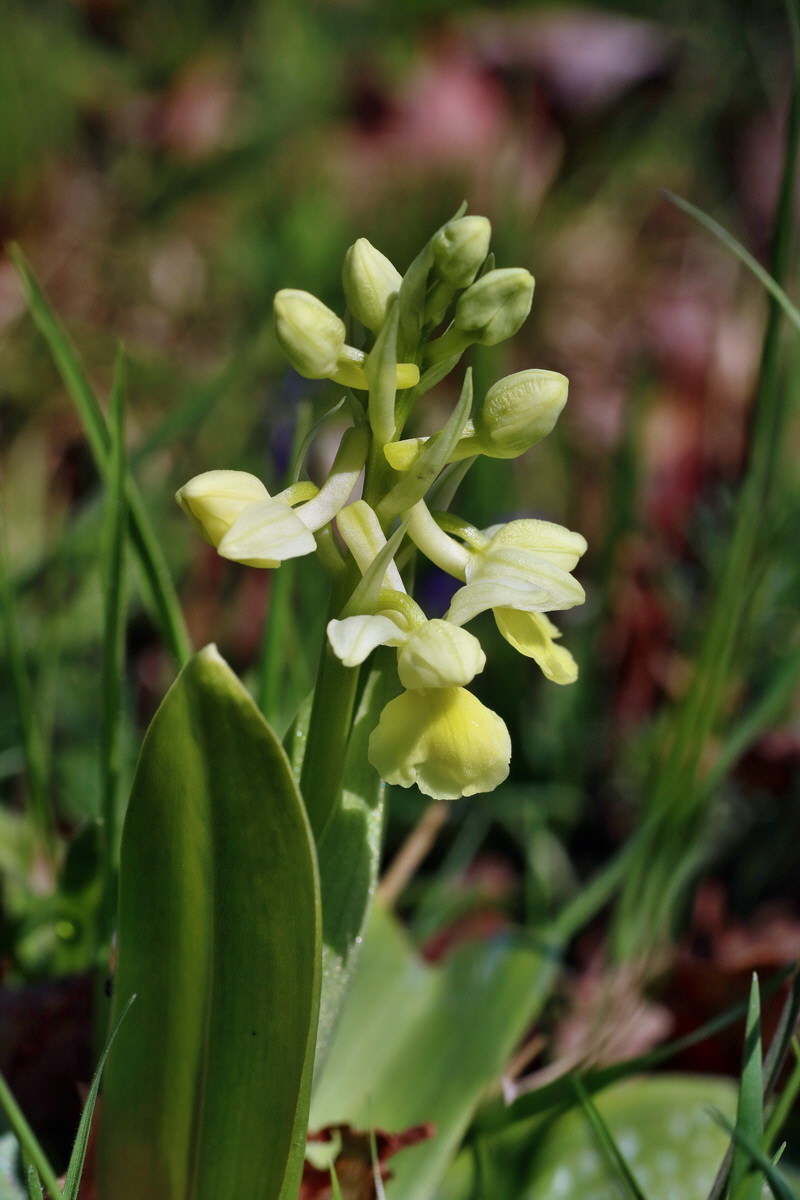 IMG-2016-04-17-00012191p_Bildgr��e �ndern