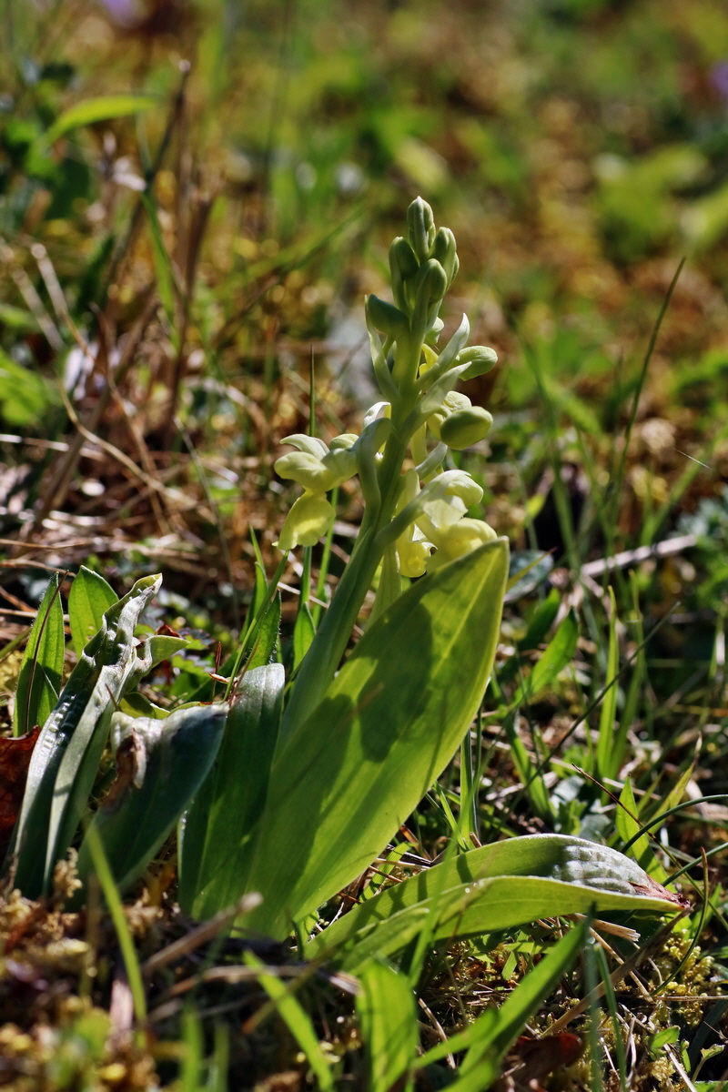 IMG-2016-04-17-00012211p_Bildgr��e �ndern