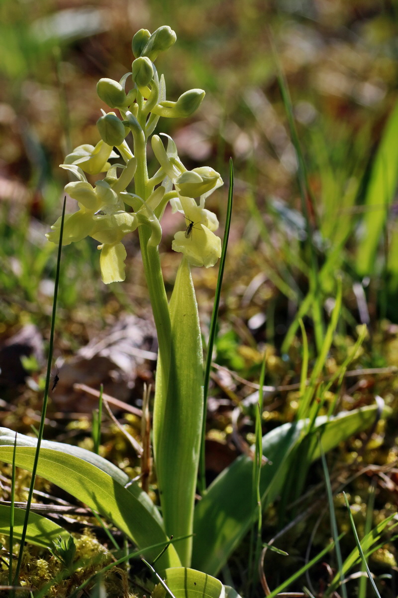 IMG-2016-04-17-00012216p_Bildgr��e �ndern