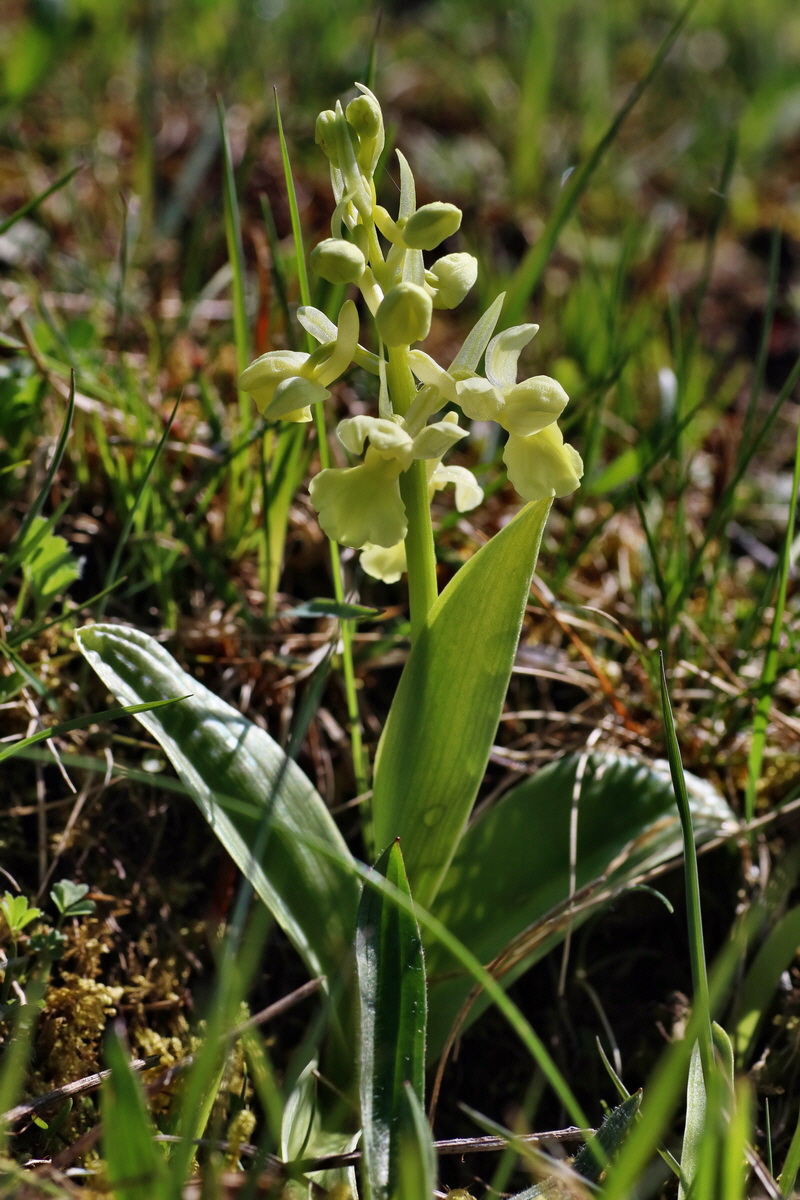 IMG-2016-04-17-00012219p_Bildgr��e �ndern