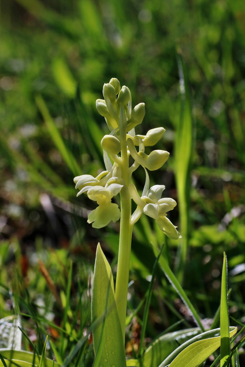 IMG-2016-04-17-00012222p_Bildgr��e �ndern