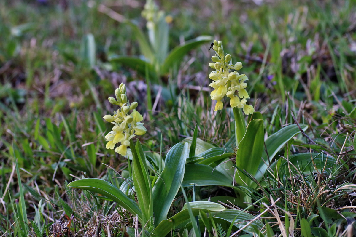 IMG-2016-04-17-00012231p_Bildgr��e �ndern