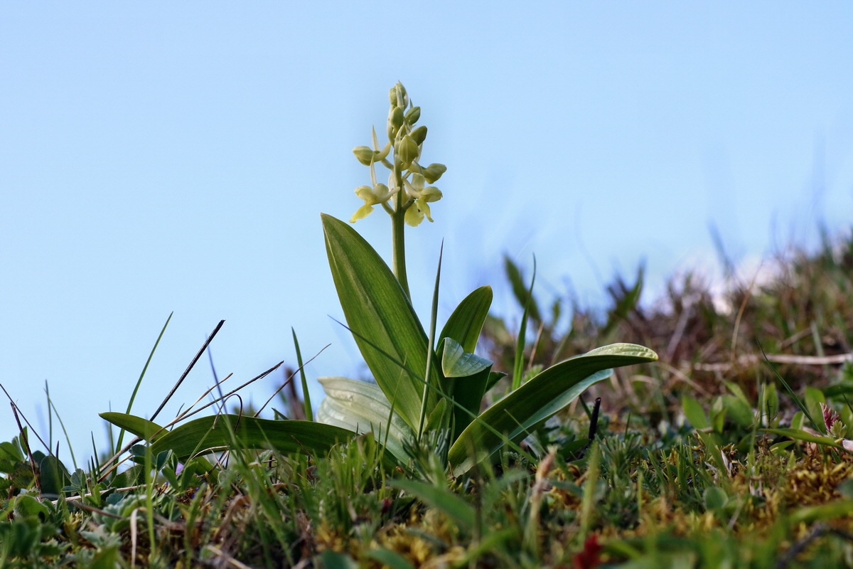 IMG-2016-04-17-00012232p_Bildgr��e �ndern