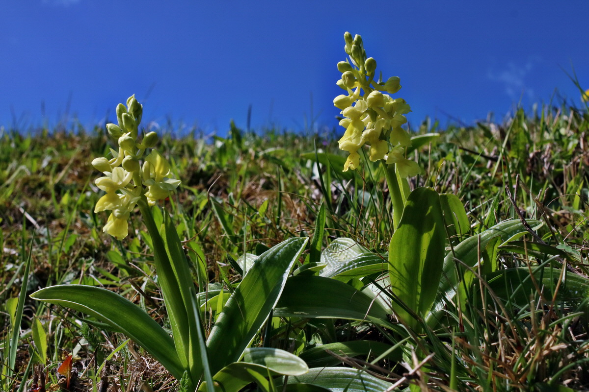 IMG-2016-04-17-00012245p_Bildgr��e �ndern