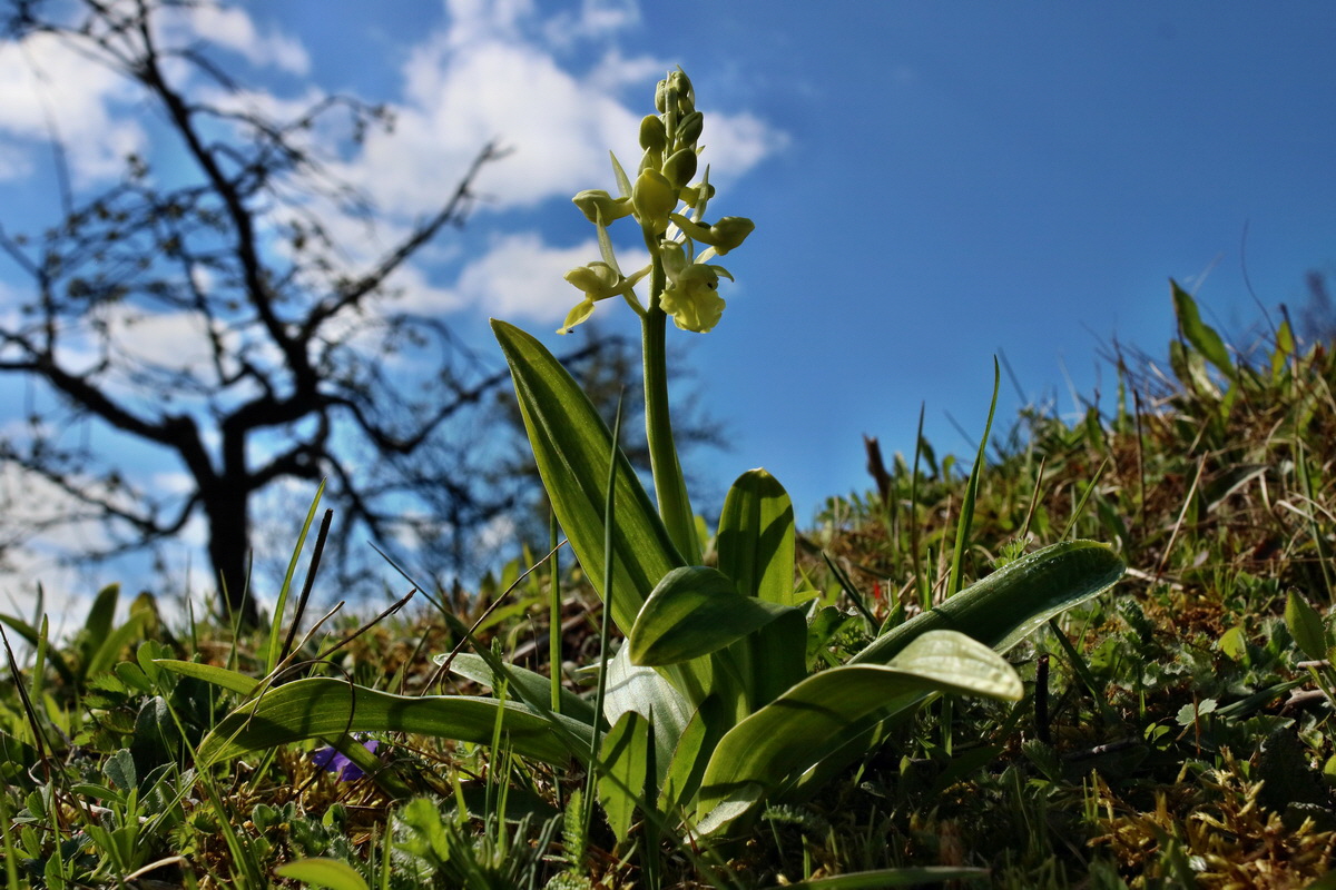 IMG-2016-04-17-00012247p_Bildgr��e �ndern