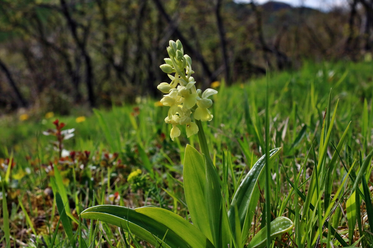 IMG-2016-04-17-00012249p_Bildgr��e �ndern