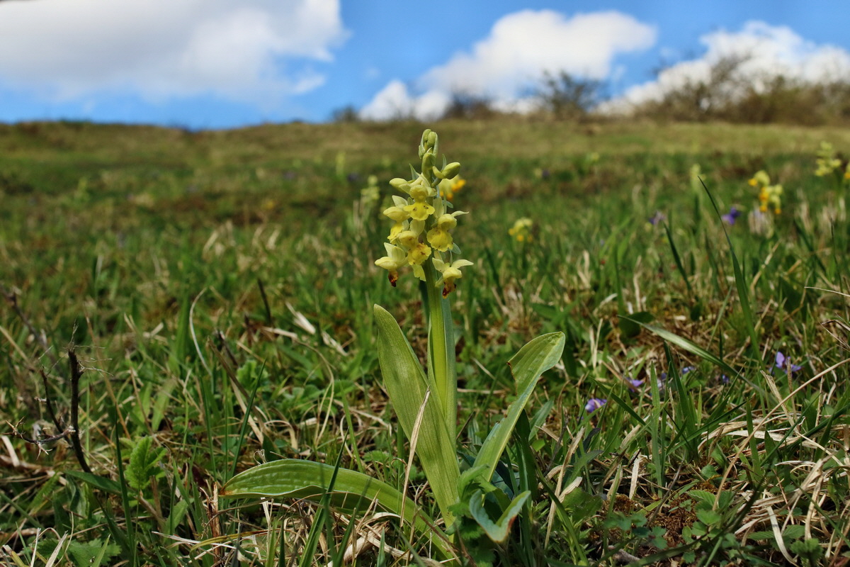 IMG-2016-04-17-00012251p_Bildgr��e �ndern