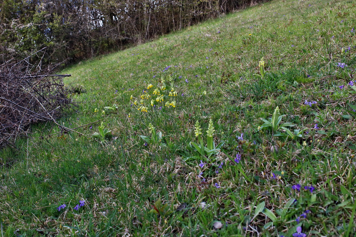 IMG-2016-04-17-00012257p_Bildgr��e �ndern