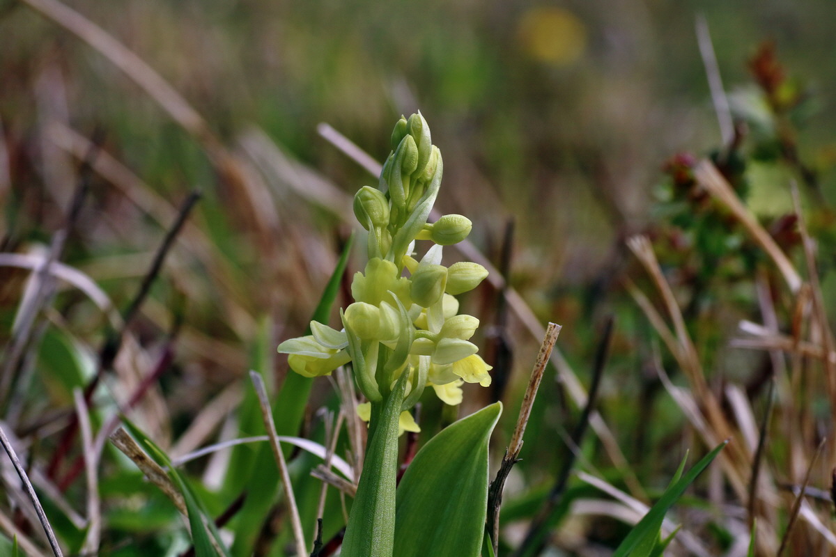 IMG-2016-04-17-00012263p_Bildgr��e �ndern