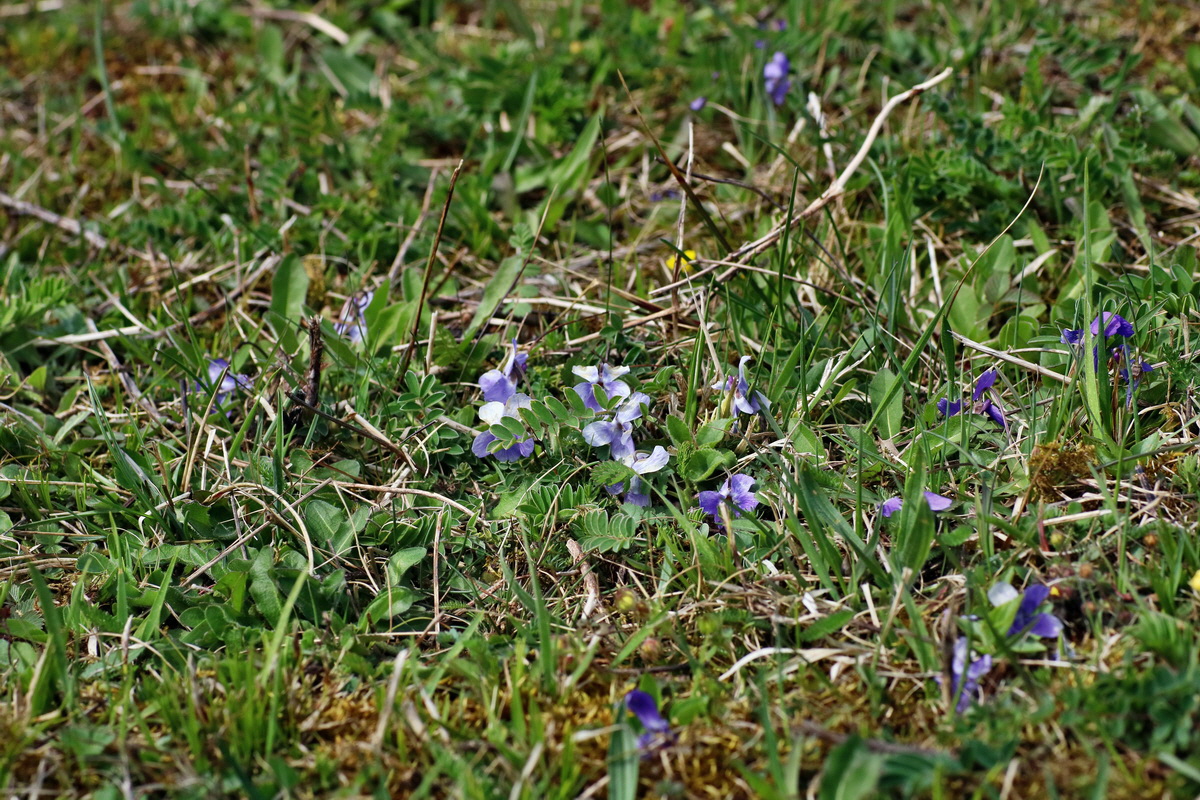 IMG-2016-04-17-00012266p_Bildgr��e �ndern