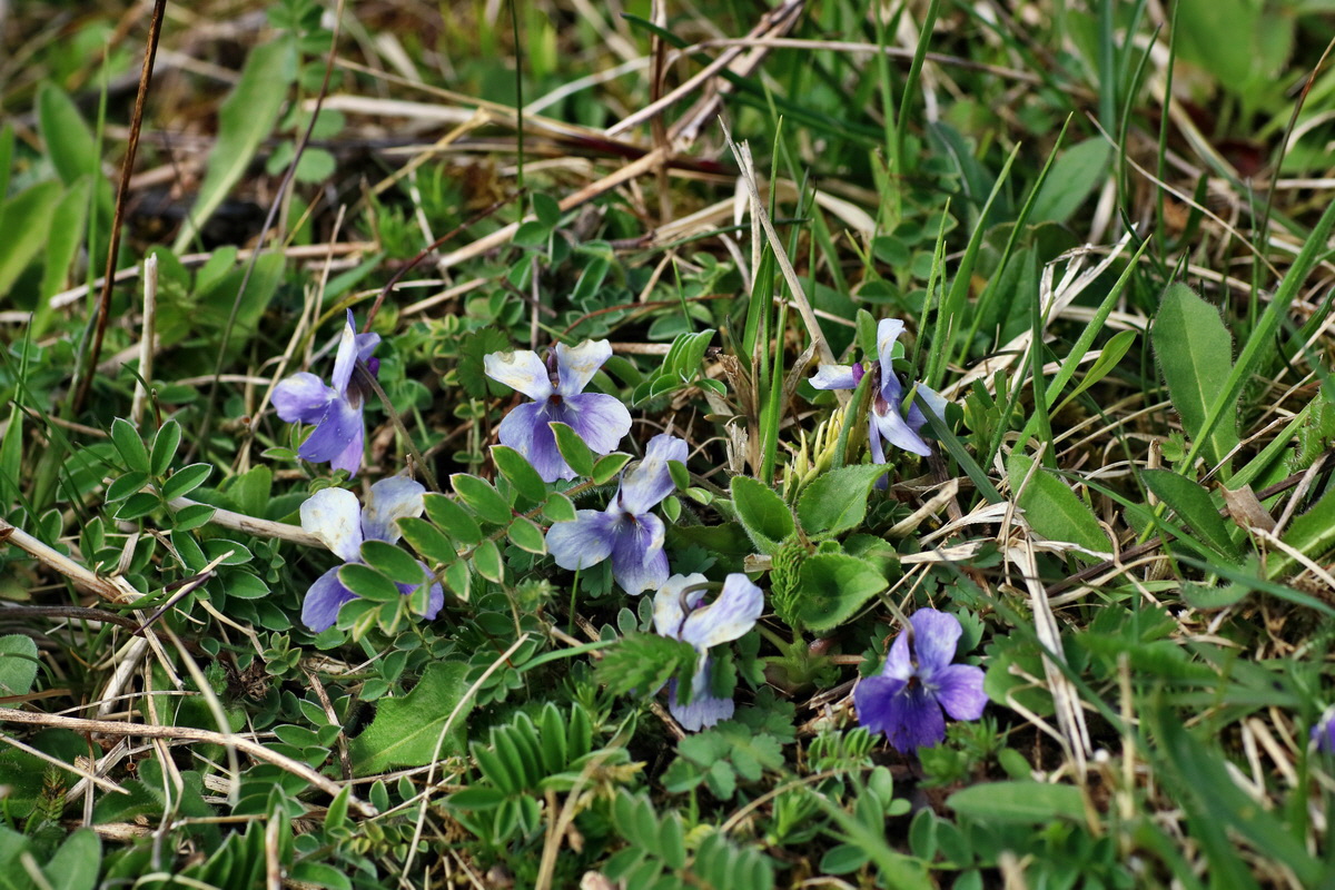 IMG-2016-04-17-00012269p_Bildgr��e �ndern