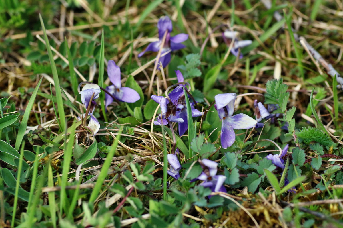 IMG-2016-04-17-00012270p_Bildgr��e �ndern