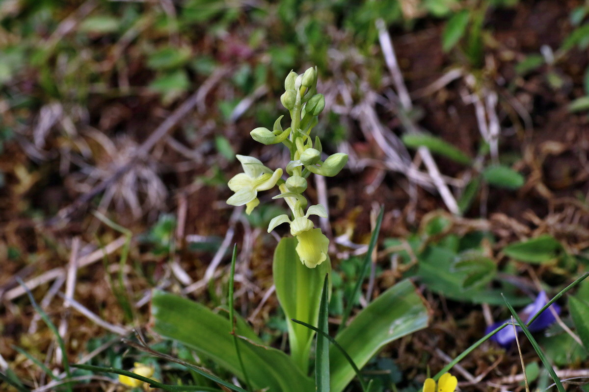 IMG-2016-04-17-00012272p_Bildgr��e �ndern