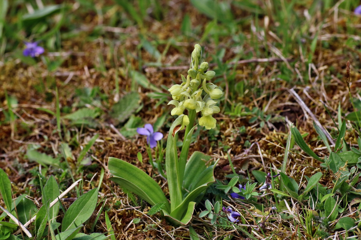 IMG-2016-04-17-00012275p_Bildgr��e �ndern