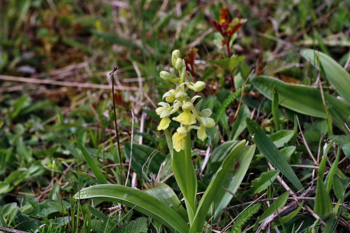 IMG-2016-04-17-00012278p_Bildgr��e �ndern