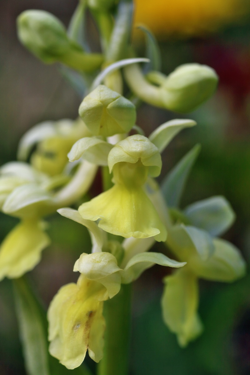 IMG-2016-04-17-00012281p_Bildgr��e �ndern