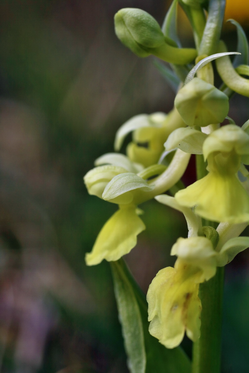 IMG-2016-04-17-00012283p_Bildgr��e �ndern