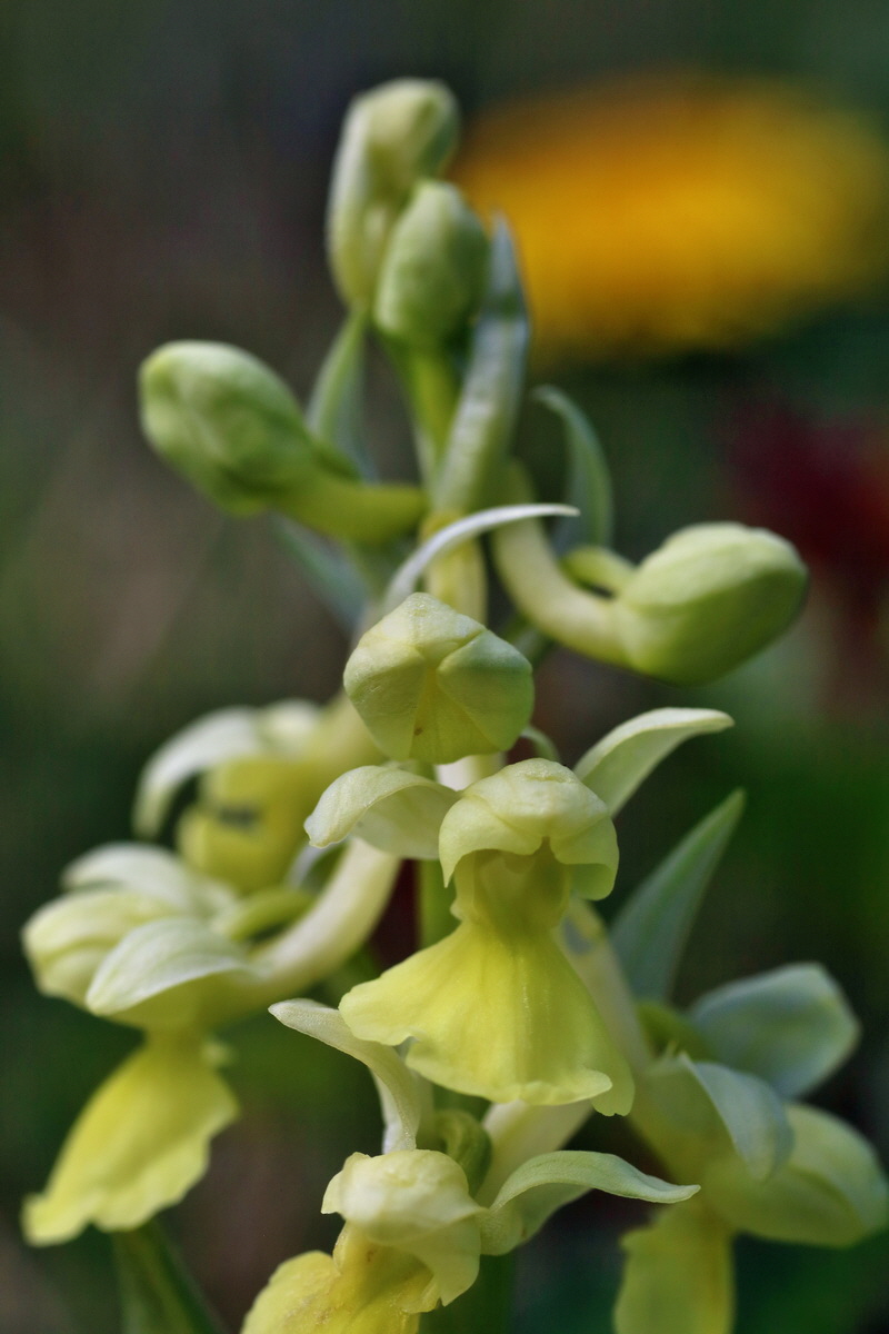 IMG-2016-04-17-00012284p_Bildgr��e �ndern