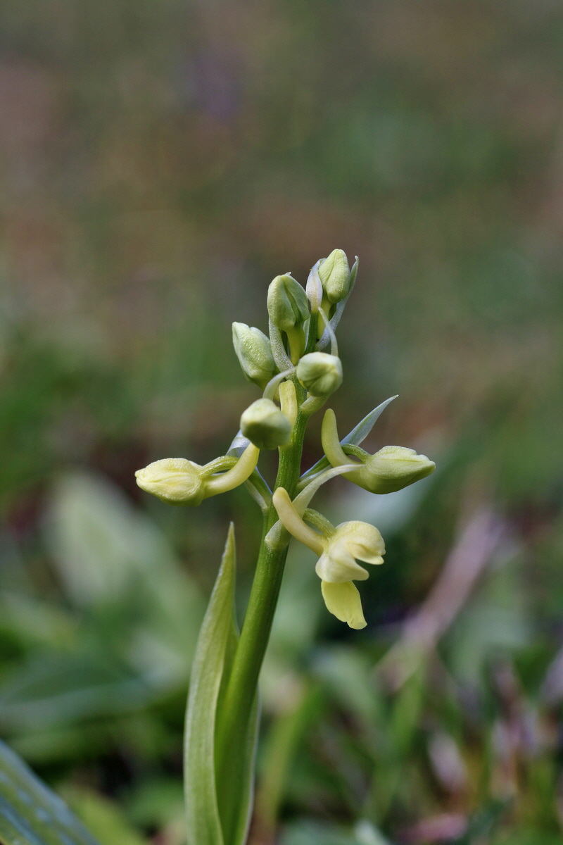 IMG-2016-04-17-00012287p_Bildgr��e �ndern