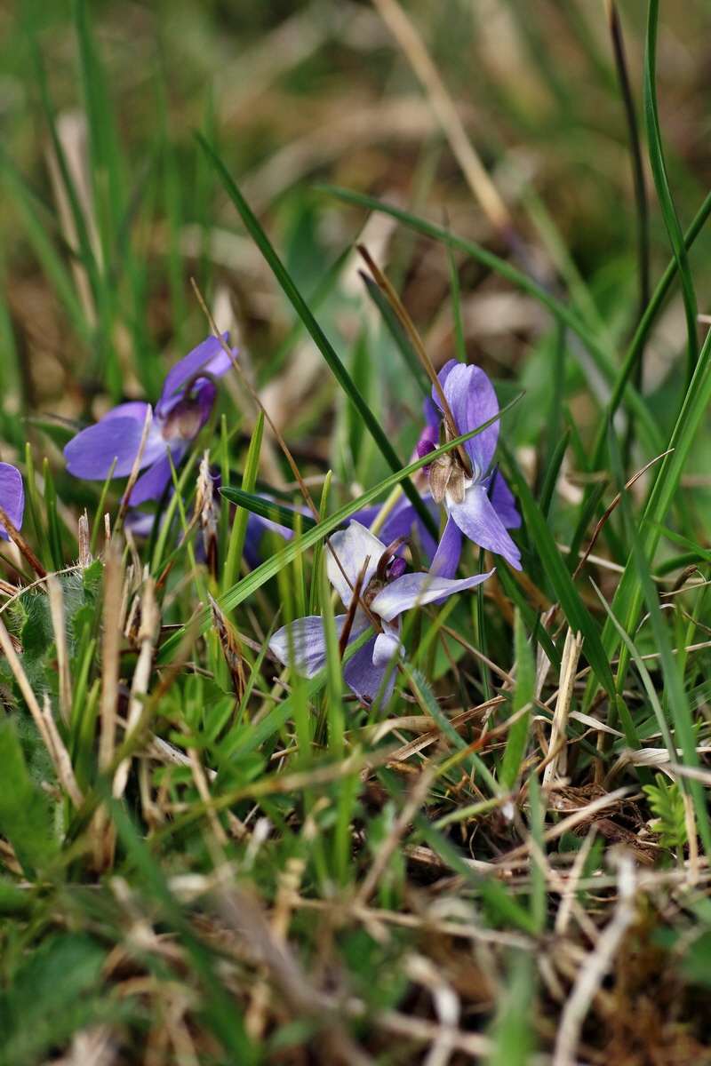 IMG-2016-04-17-00012288p_Bildgr��e �ndern