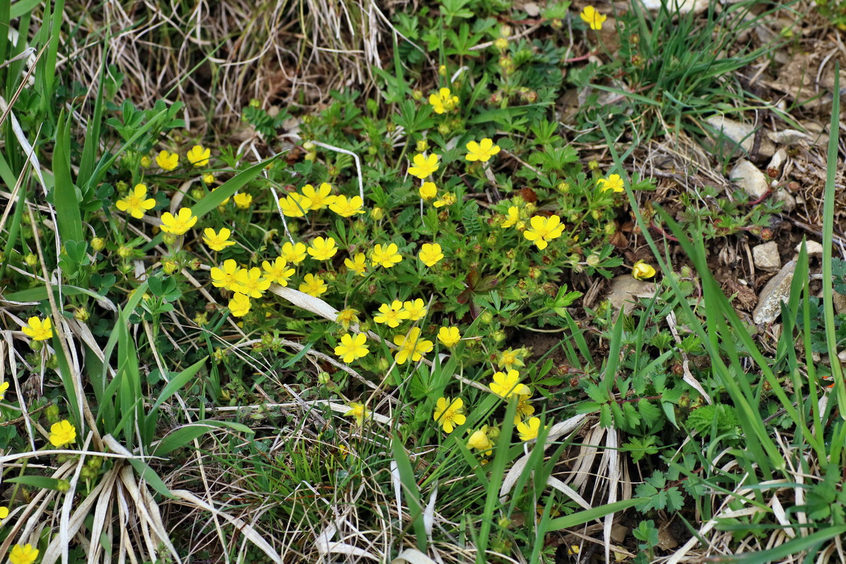 IMG-2016-04-17-00012297p_Bildgr��e �ndern