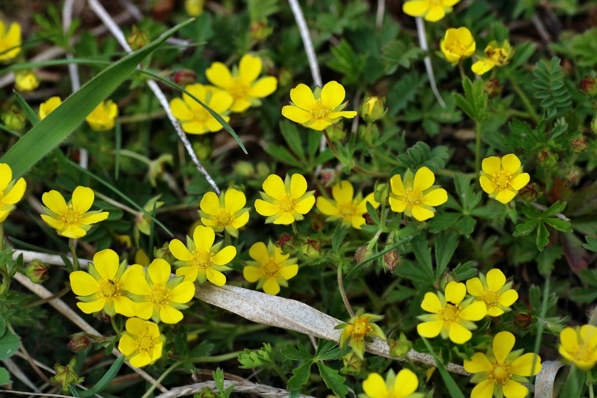 IMG-2016-04-17-00012300p_Bildgr��e �ndern