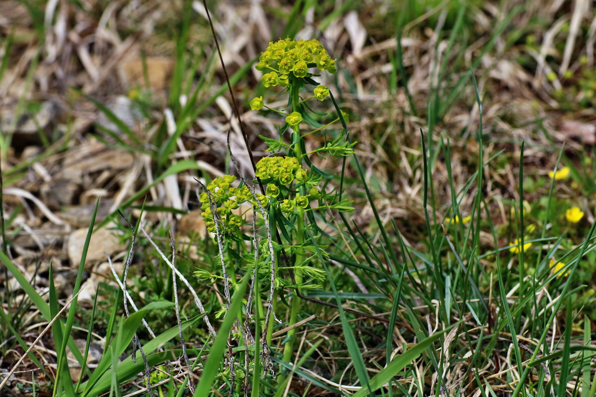 IMG-2016-04-17-00012303p_Bildgr��e �ndern