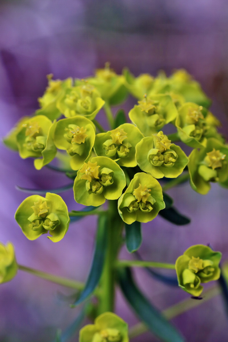 IMG-2016-04-17-00012308p_Bildgr��e �ndern