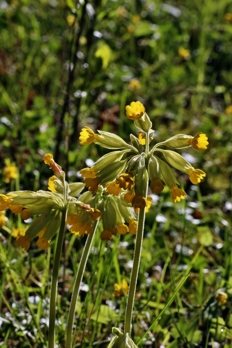 IMG-2016-04-21-00012515p_Bildgr��e �ndern