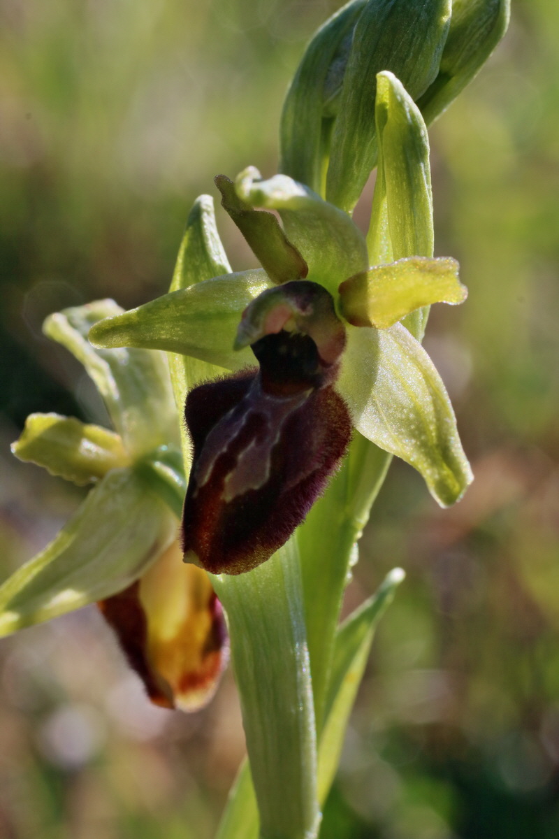 IMG-2016-04-21-00012520p_Bildgr��e �ndern