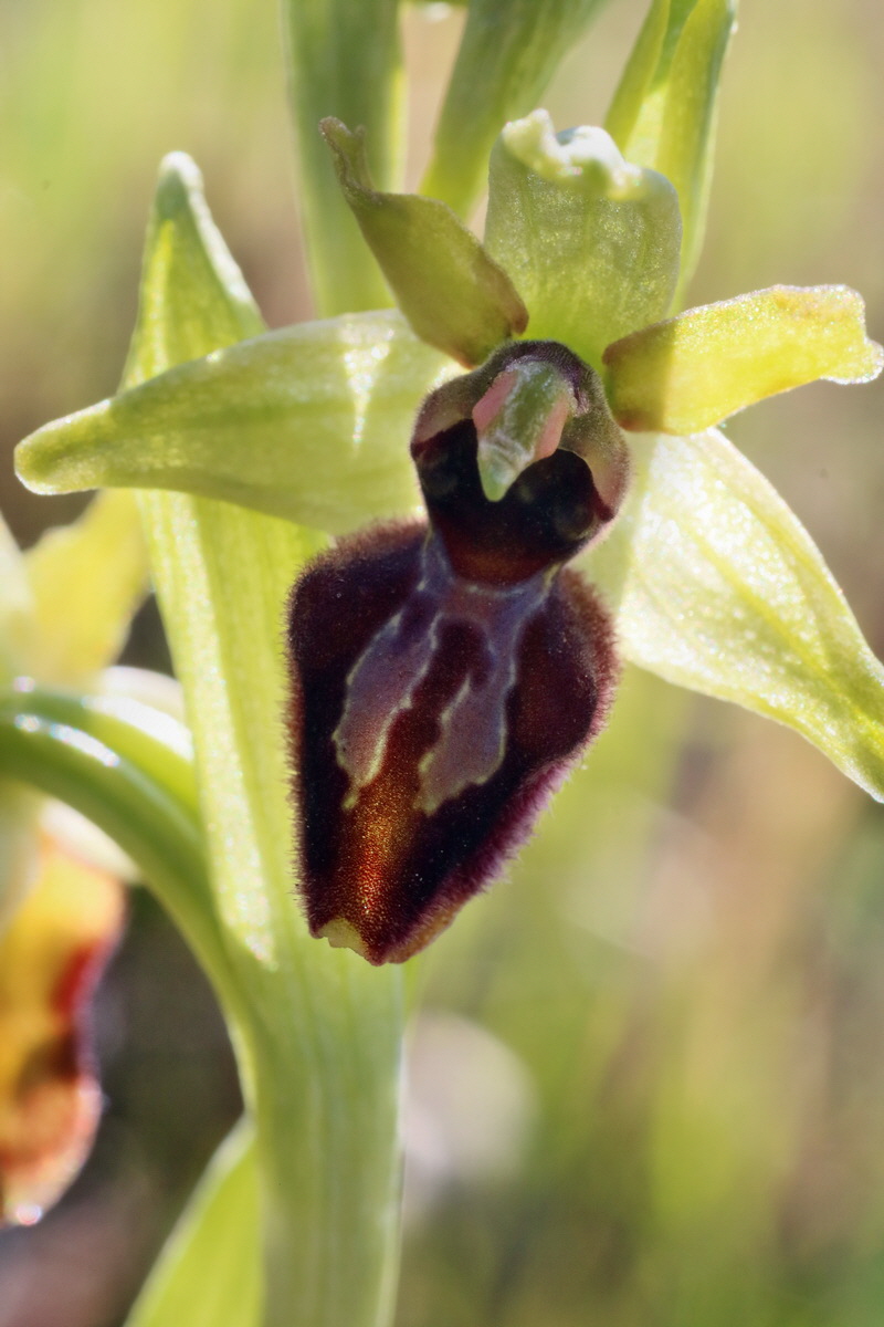 IMG-2016-04-21-00012523p_Bildgr��e �ndern