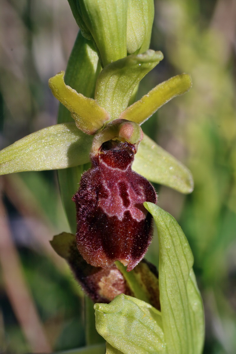 IMG-2016-04-21-00012528p_Bildgr��e �ndern