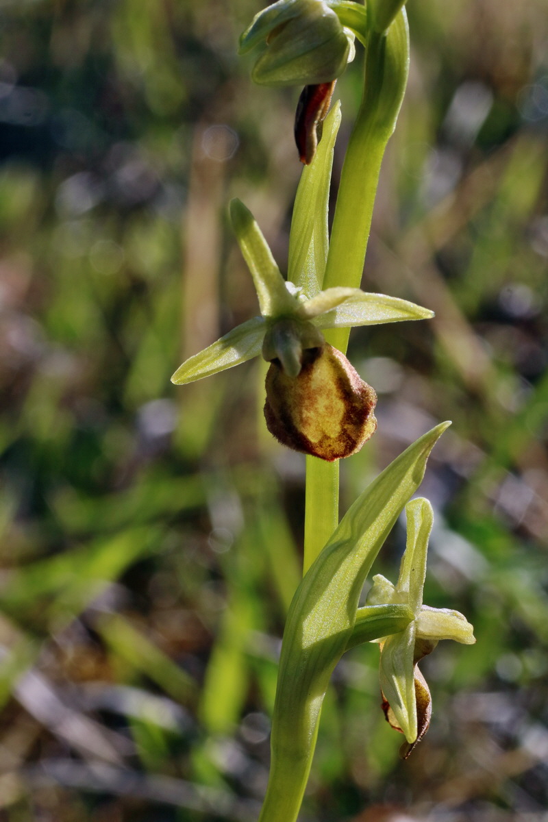 IMG-2016-04-21-00012530p_Bildgr��e �ndern