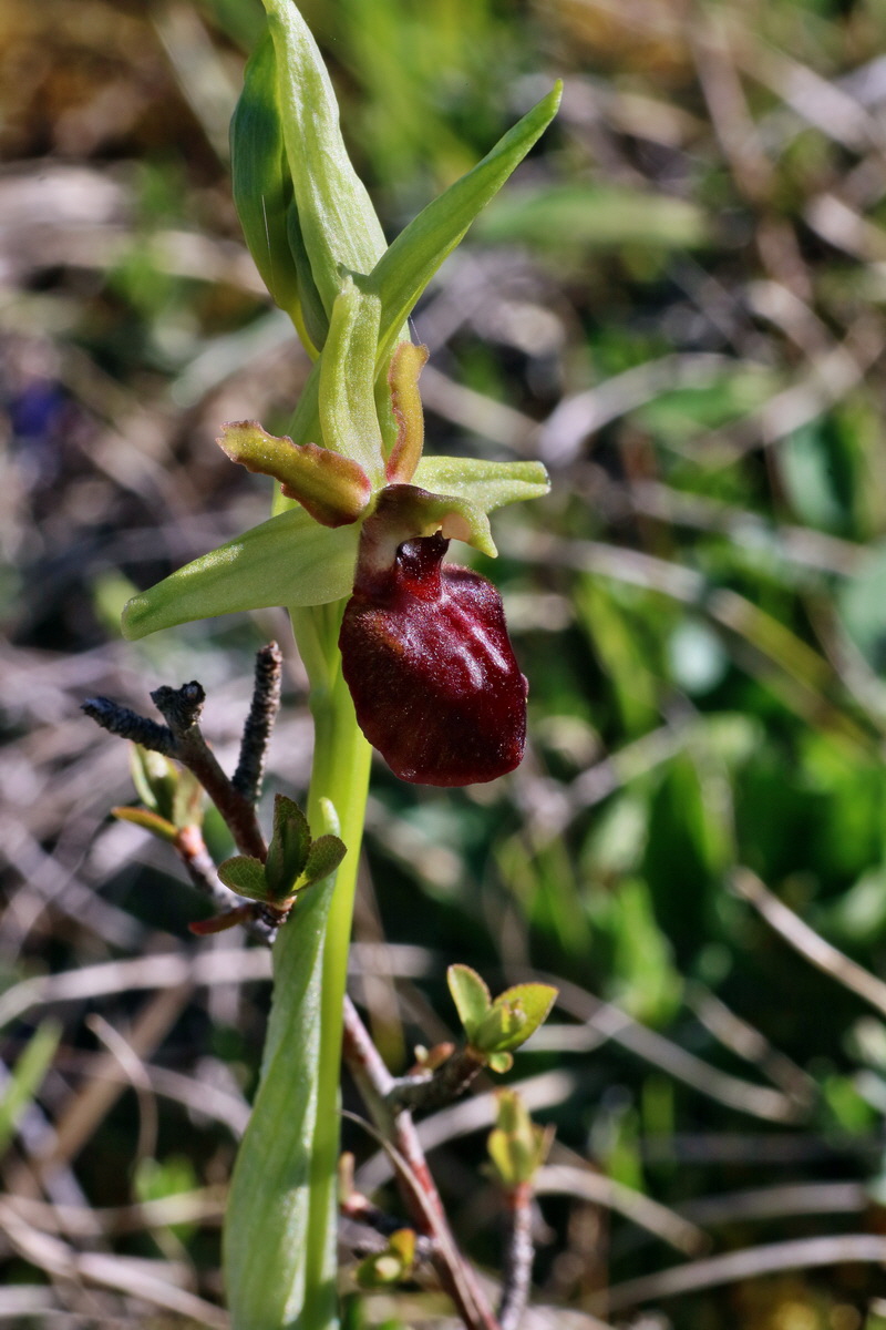 IMG-2016-04-21-00012534p_Bildgr��e �ndern