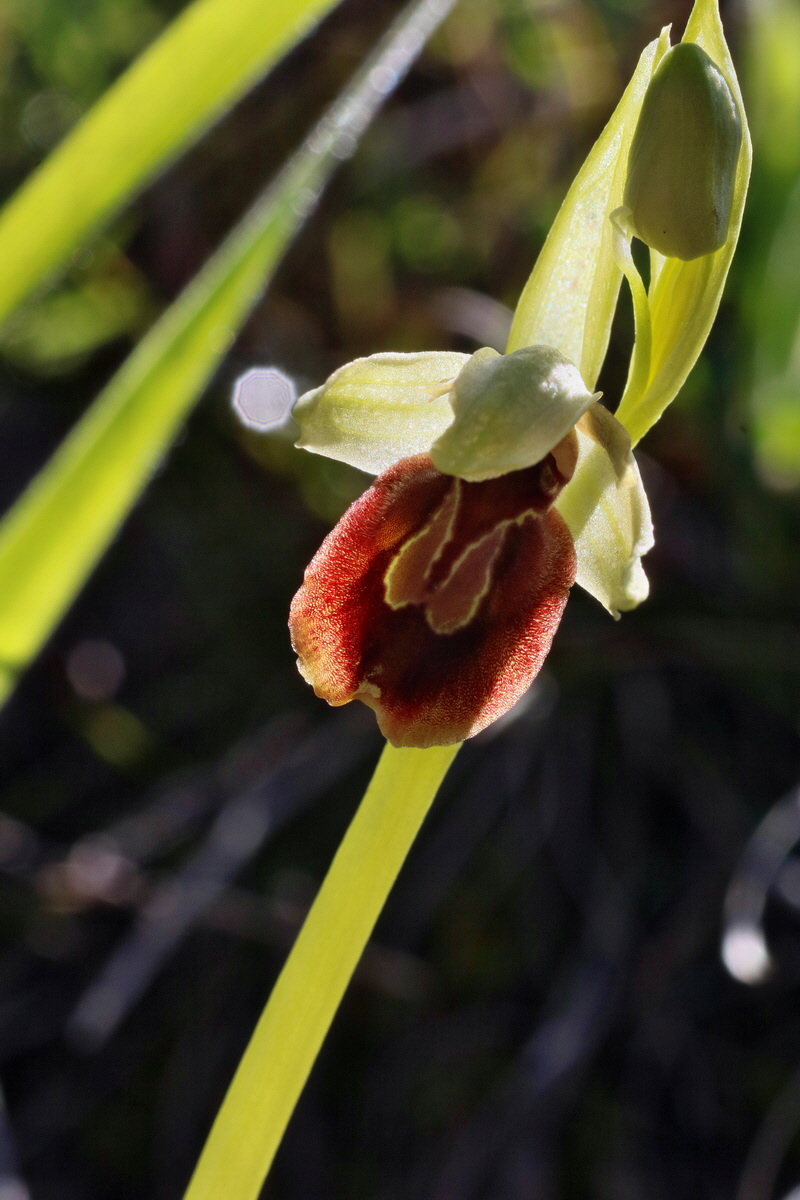 IMG-2016-04-21-00012544p_Bildgr��e �ndern