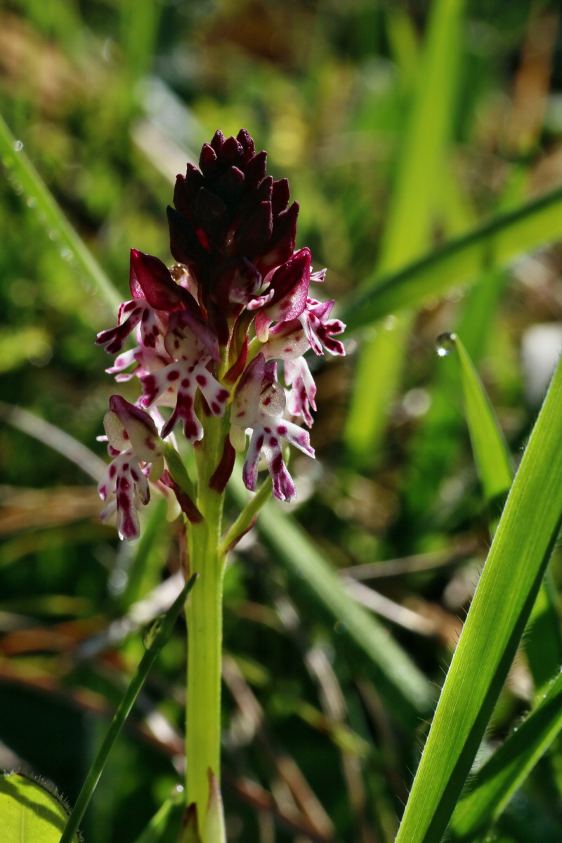 IMG-2016-04-21-00012553p_Bildgr��e �ndern