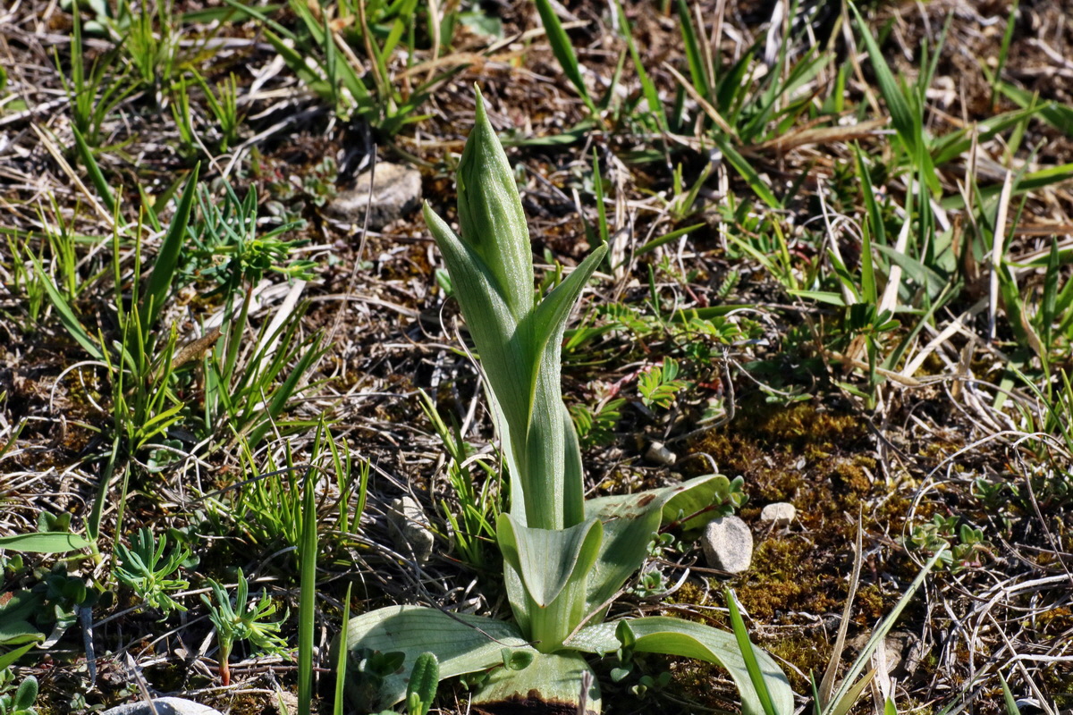 IMG-2016-04-21-00012558p_Bildgr��e �ndern