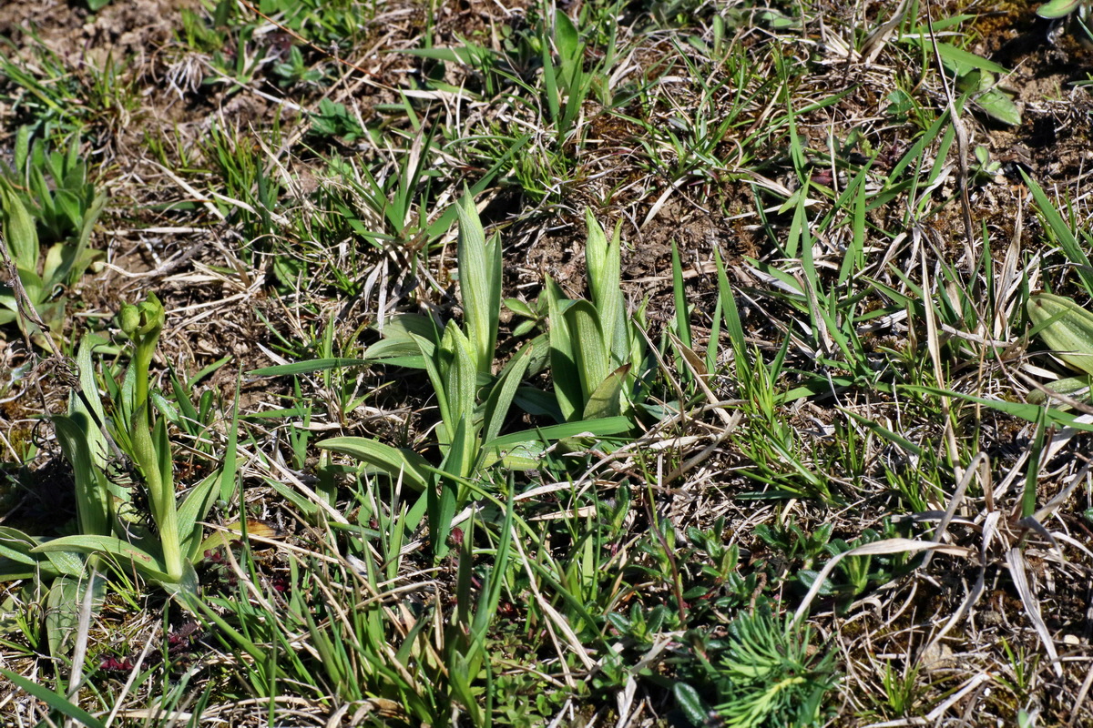 IMG-2016-04-21-00012562p_Bildgr��e �ndern