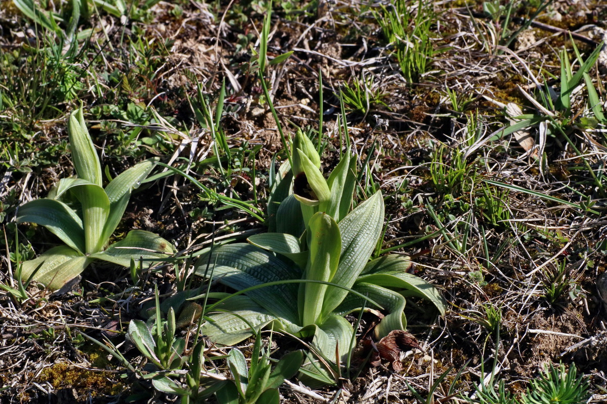 IMG-2016-04-21-00012565p_Bildgr��e �ndern