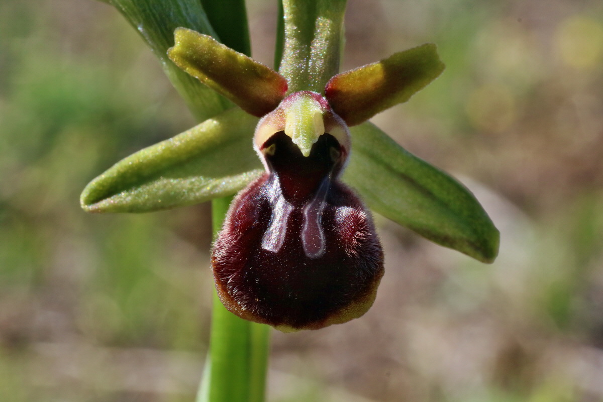 IMG-2016-04-21-00012570p_Bildgr��e �ndern