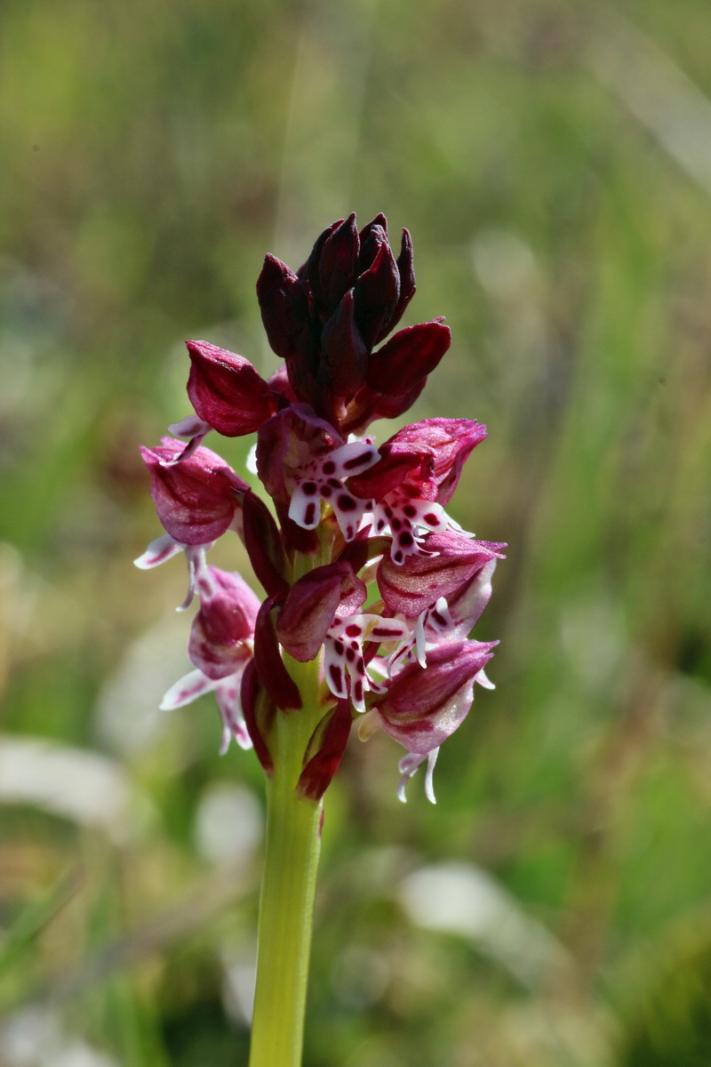 IMG-2016-04-21-00012577p_Bildgr��e �ndern