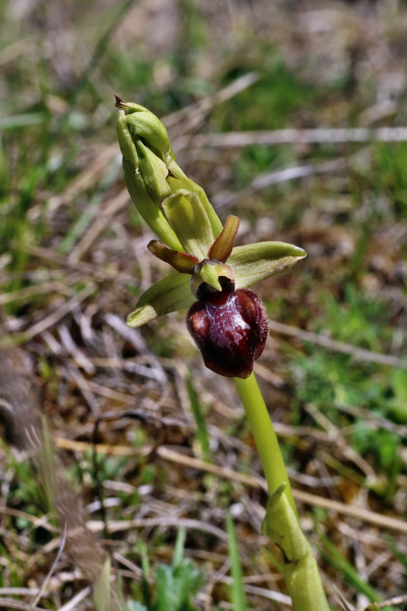 IMG-2016-04-21-00012587p_Bildgr��e �ndern