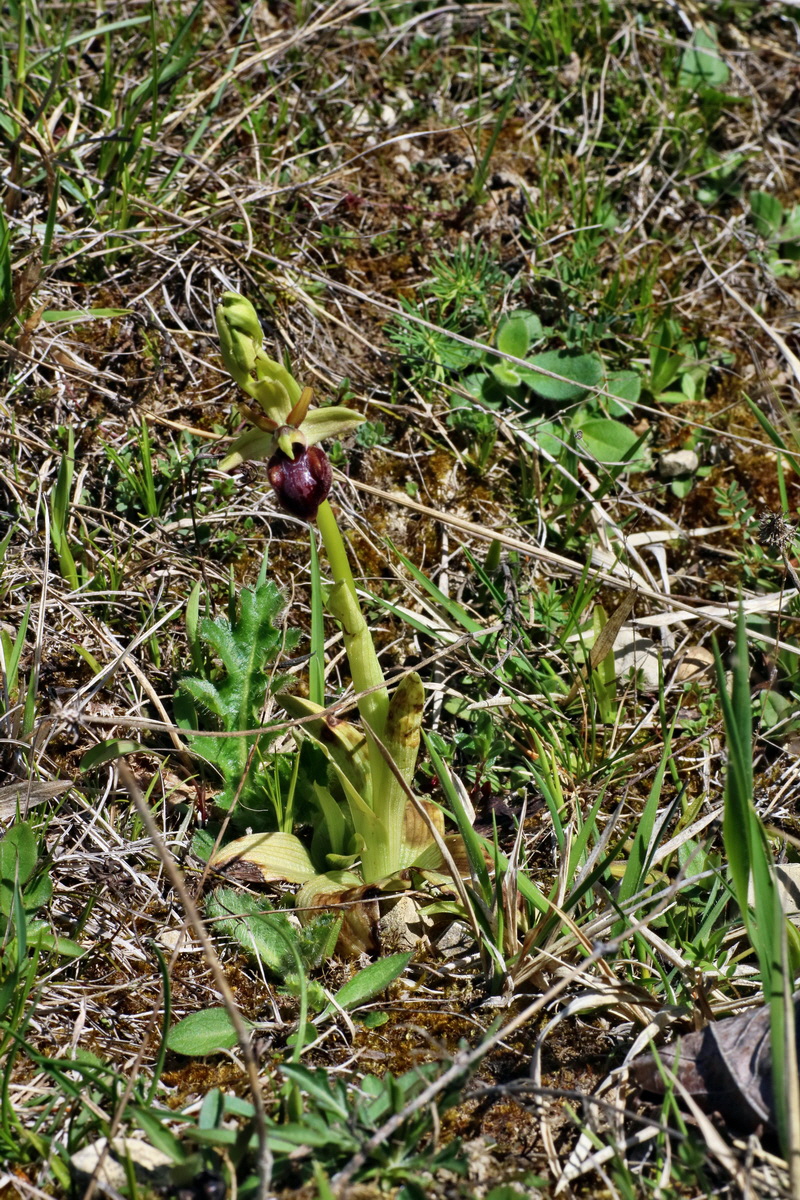 IMG-2016-04-21-00012593p_Bildgr��e �ndern