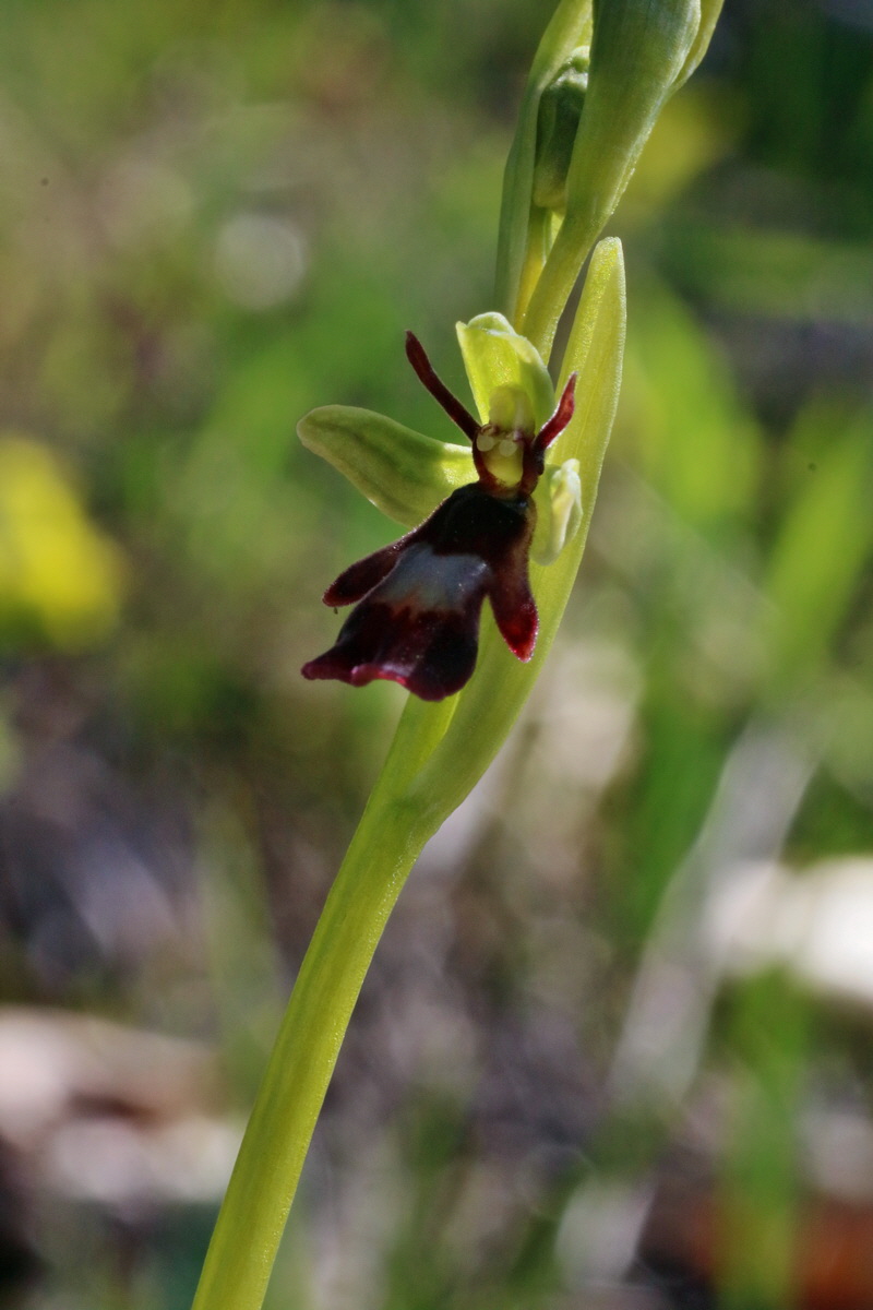 IMG-2016-04-21-00012597p_Bildgr��e �ndern