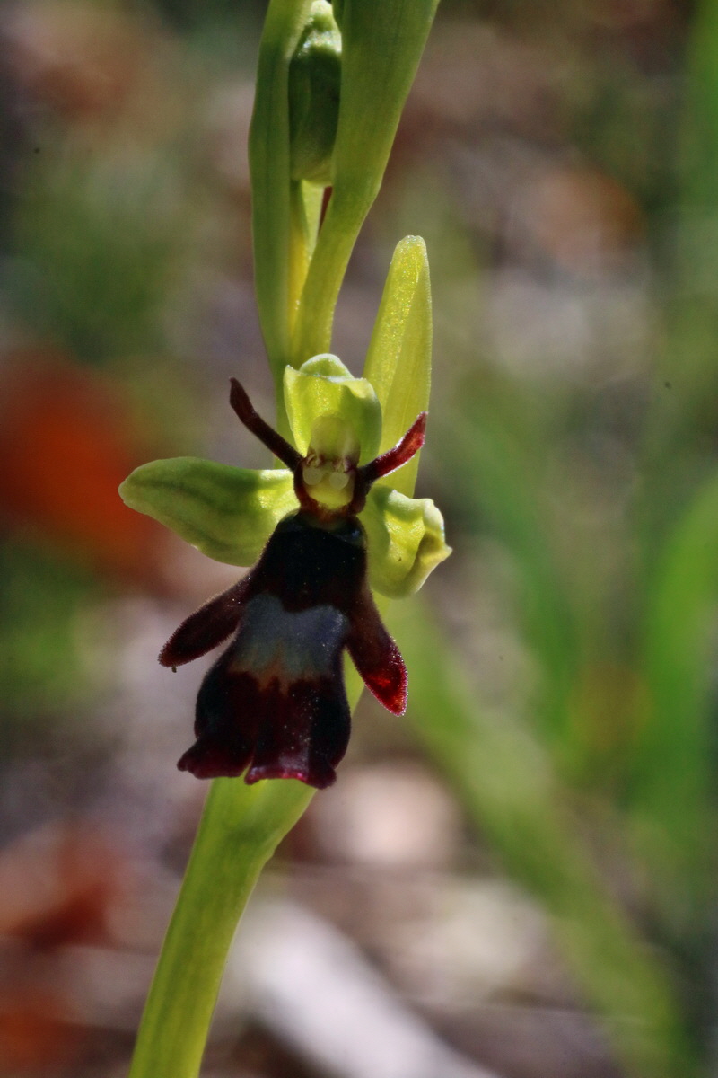 IMG-2016-04-21-00012610p_Bildgr��e �ndern